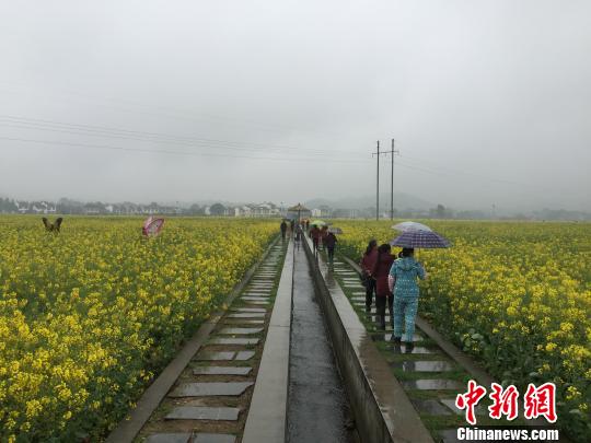 湖南春季乡村旅游节开幕引爆田园花海观光游